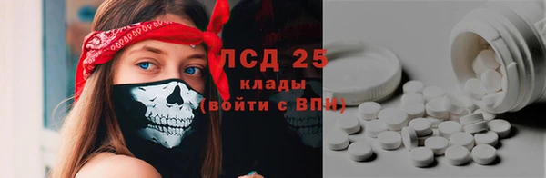 spice Алзамай